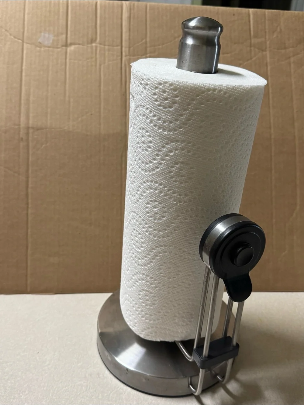 Stainless Steel Free-Standing Paper Towel Holder - White Roll Compatible